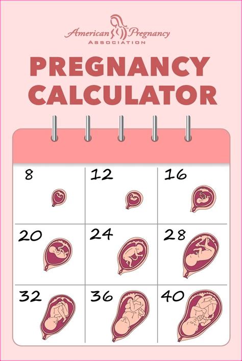 dating calendar pregnancy